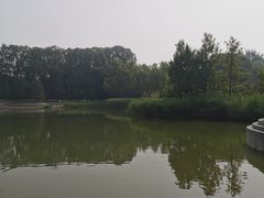 -大望京公园