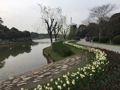 -上海鲜花港