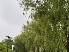 -莲花池公园