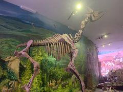 -陕西自然博物馆