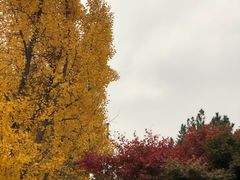 -丰台花园