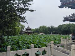-莲池书院博物馆