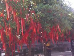 -金堂县云顶石城风景区