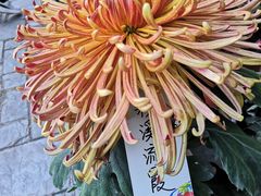 -北京植物园南门售票处