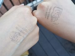 -圣淘沙天际线斜坡滑车