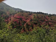 -木兰云雾山