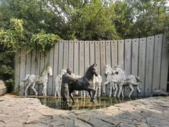 -白马涧龙池景区