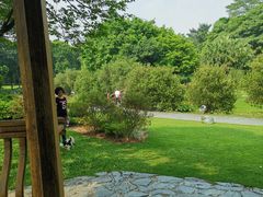 -东莞植物园