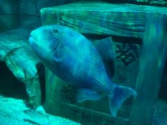 -沈阳海洋探索中心