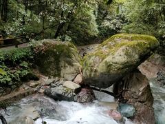 -西岭雪山大飞水景区