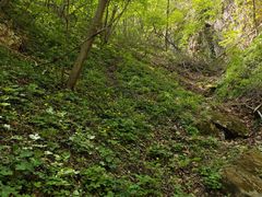 -大连天门山国家森林公园