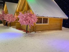 -宁波冰雪大世界(北仑区)