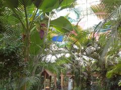 android_upload_pic-金隅凤山酒店