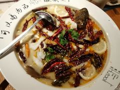 招牌酸菜鱼-胡桃里音乐酒馆(白云五号T5 MALL店)