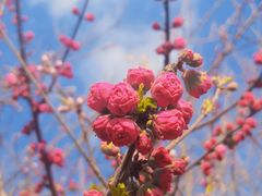 -北运河水利风景区