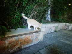 -疯克大象美式烤肉餐厅