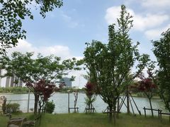 -南翔镇银翔湖公园