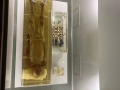 -荆州博物馆
