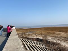 -南汇嘴观海公园