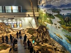 -自贡恐龙博物馆