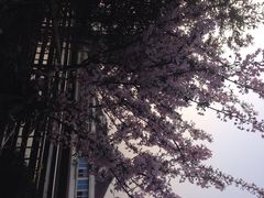 iphone_upload_pic-川流不息(北蔡休闲广场店)