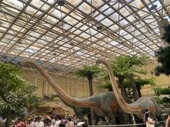 -国家自然博物馆