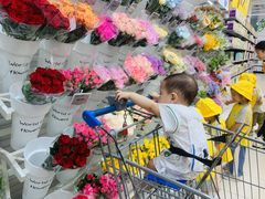 -金点蒙氏国际教育(悠然校区)