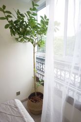 包房-悦芳庭美肤美体品牌集合店