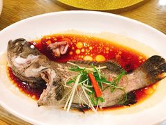 -寻味顺德·南记酒家·传统顺德菜·鱼生(广源路店)