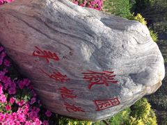 武清绿博园-武清南湖绿博园