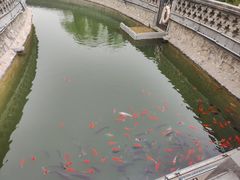 -大槐树寻根祭祖园