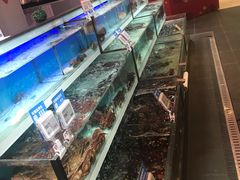 -盒马X会员店(王府井奥莱UP TOWN店)