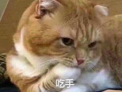 -Ocean's Table 欧舍