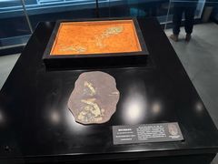 -盘龙城国家考古遗址公园