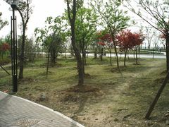 -幕燕滨江·长江观音景区