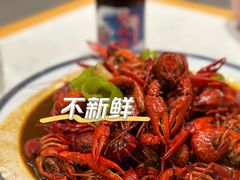 -杨氏青龙虾·羊蝎子(托乐嘉店)