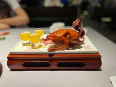 -大鸽饭(北京路店)