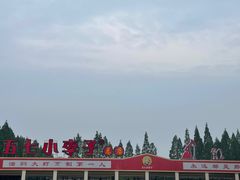 -五七小李子油焖大虾(总店)