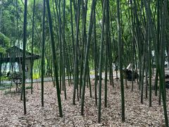-包公祠