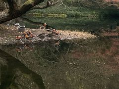 -灵隐飞来峰景区