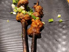 红柳木烤羊肉串-成都吃客(九眼桥店)