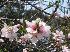 -上海市龙华烈士陵园