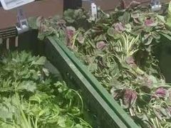 -物美超市(金宝街店)