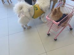 -怪兽屋·羊驼·猫咖·狗咖(俊华广场店)