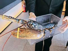 -遇外滩(BFC外滩金融中心店)