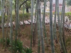 -故乡缘·香格里拉山庄(冷竹路店)