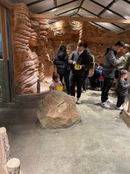 -造物庄园 萌宠纪(苏州湾歌林公园店)