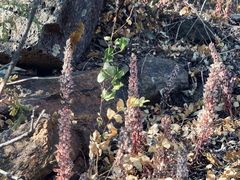 -蟠龙山长城景区