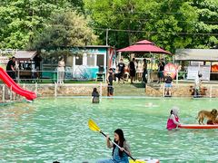 -宠乐会宠物乐园