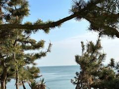 -小石岛景区